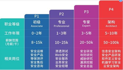 軟件工程專業(yè)實訓轉向網(wǎng)絡安全 聚焦網(wǎng)絡與信息安全軟件開發(fā)的機遇與路徑